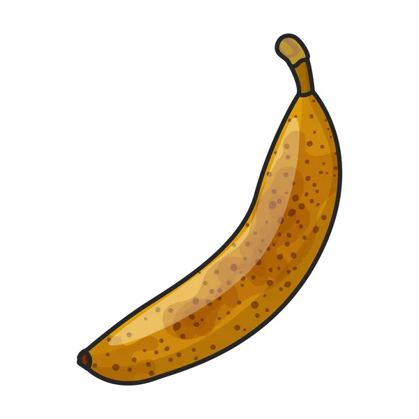Banana Vector Icon Color Vector Logo Isolated White Background Banana — Stock Vector
