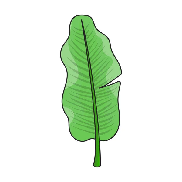 葉のバナナ ベクターのアイコン 白い背景の葉のバナナで隔離される色のベクターのロゴ — ストックベクタ