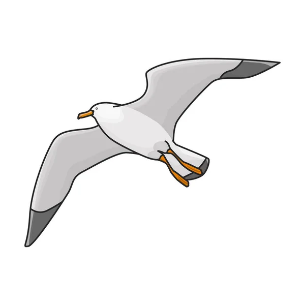 Vogel Möwe Vektor Symbol Farbe Vektor Logo Isoliert Auf Weißem — Stockvektor