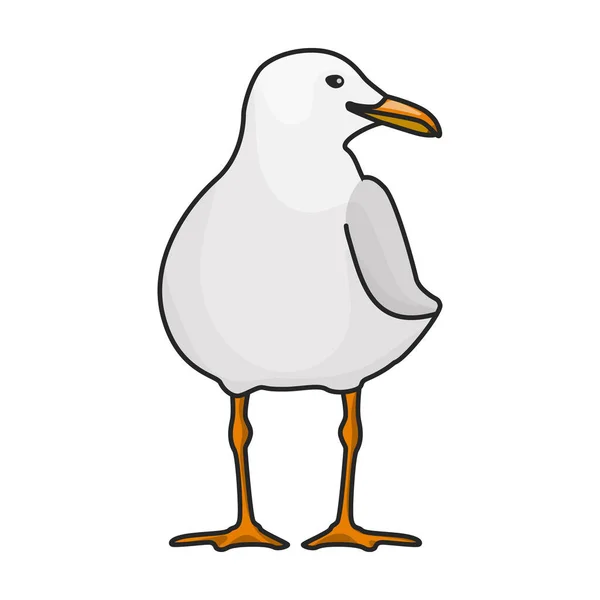 Gaivota Pássaro Vetor Icon Color Logotipo Vetor Isolado Fundo Branco — Vetor de Stock