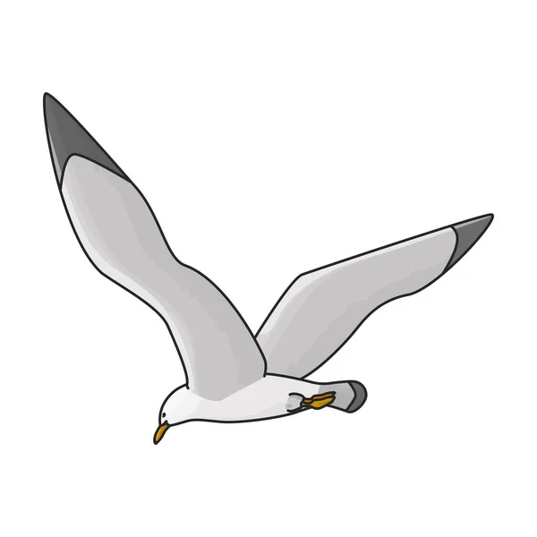 Gaivota Pássaro Vetor Icon Color Logotipo Vetor Isolado Fundo Branco —  Vetores de Stock