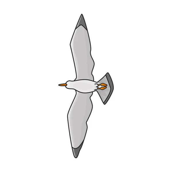 鸟类海鸥矢量图标 白色背景海鸥上的彩色矢量标识 — 图库矢量图片