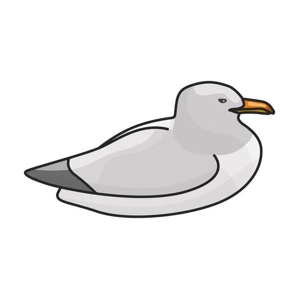 Kuş Martı Vektör Simgesi Renk Vektör Logosu Beyaz Arkaplan Kuş — Stok Vektör