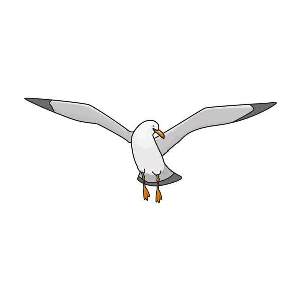 鸟类海鸥矢量图标 白色背景海鸥上的彩色矢量标识 — 图库矢量图片