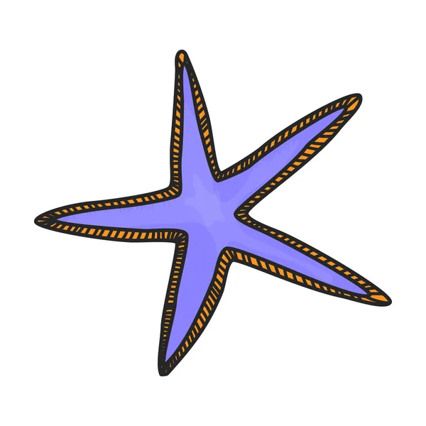 Starfish Vetor Icon Color Logotipo Vetor Isolado Fundo Branco Estrela —  Vetores de Stock