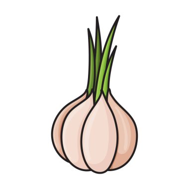 Sarımsak vektör simgesi. Beyaz arkaplan sarımsağında izole edilmiş renk vektör logosu. .