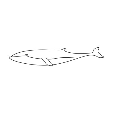 Balina finwal vektör simgesi. Beyaz arka plan balina finwal üzerinde izole ana vektör logosu .