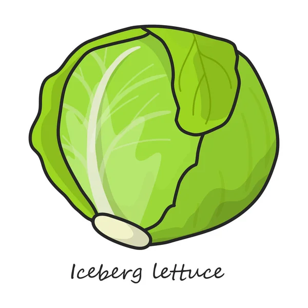 Εικονίδιο Φορέα Lettuce Λογότυπο Φορέα Χρώματος Απομονωμένο Λευκό Μαρούλι Υποβάθρου — Διανυσματικό Αρχείο