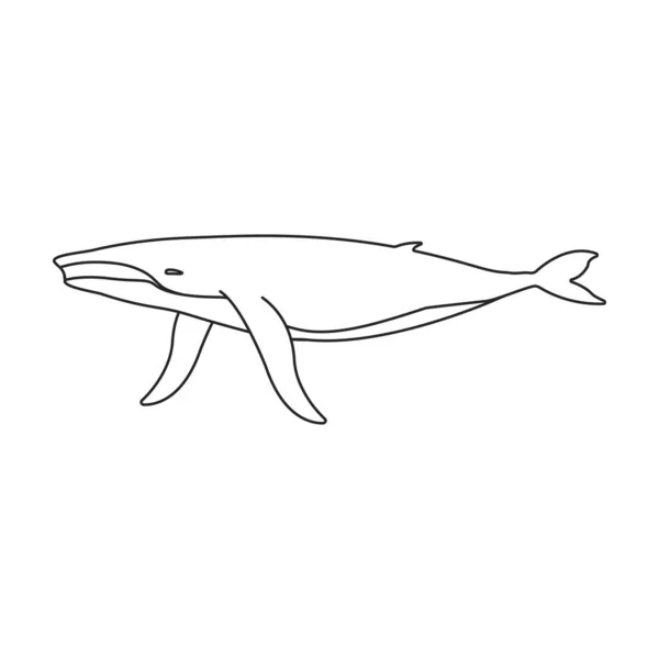 Walvis Bultrug Vectoricoon Overzicht Vector Logo Geïsoleerd Witte Achtergrond Walvis — Stockvector