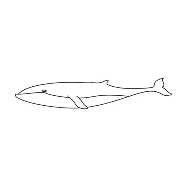 Walvisvinding Vectoricoon Overzicht Vector Logo Geïsoleerd Witte Achtergrond Walvis Vinwal — Stockvector