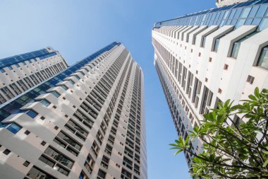 Modern yüksek binaların bir sürü penceresi ve camı vardır..