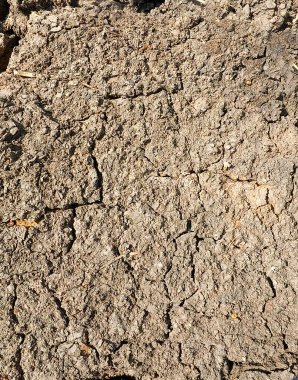 Toprağın yüzeyi kuru ve çatlamış..