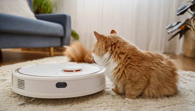 Robot elektrikli süpürge oturma odasındaki halıdaki tozu temizliyor. Yapay zeka destekli bir tasarım aracı, ve yüksek kalite standartları karşılamak için daha da geliştirilmiş