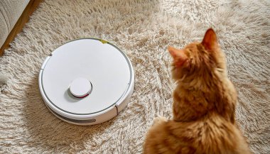Robot elektrikli süpürge oturma odasındaki halıdaki tozu temizliyor. Yapay zeka destekli bir tasarım aracı, ve yüksek kalite standartları karşılamak için daha da geliştirilmiş