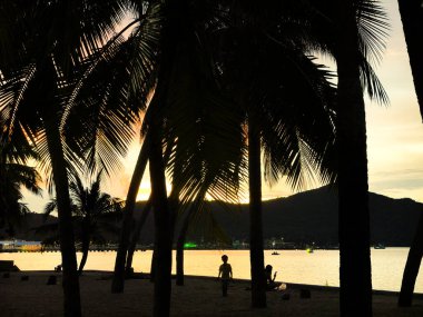 Dramatik turuncu ışık, gün batımında Tayland 'da tropik bir plajda gökyüzünü ve okyanusu aydınlatır. Hindistan cevizi ağaçlarının siluetleri canlı gökyüzüne karşı duruyor, rahatlatıcı bir yaz tatili ve egzotik seyahat yerinin ikonik bir görüntüsünü yaratıyor..