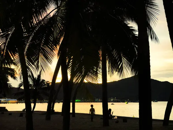 Dramatik turuncu ışık, gün batımında Tayland 'da tropik bir plajda gökyüzünü ve okyanusu aydınlatır. Hindistan cevizi ağaçlarının siluetleri canlı gökyüzüne karşı duruyor, rahatlatıcı bir yaz tatili ve egzotik seyahat yerinin ikonik bir görüntüsünü yaratıyor..