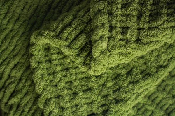 곱슬곱슬 녹색의 스웨터의 — 스톡 사진