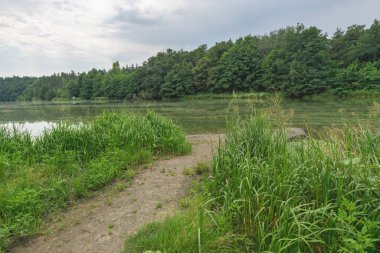 Nehre giden yol, orman ve bulutlu gökyüzü