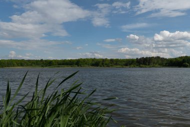 Mavi gökyüzünün altında bulutlar ve yemyeşil yapraklarla dolu sakin bir göl sahnesi..