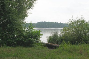 Serene Lakeside Görünümü Çerçeveli Lush Yeşillik Bulutlu Gökler Altında
