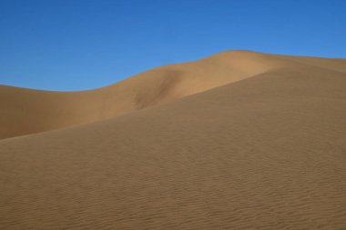 Namibya Afrika 'da Namib Çölü
