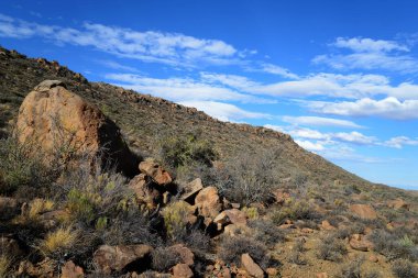 Karoo National Park, Great Karoo, South Africa 