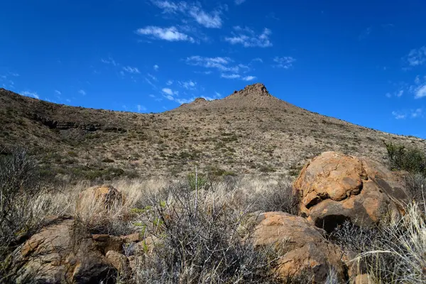 Karoo National Park, Great Karoo, South Africa 