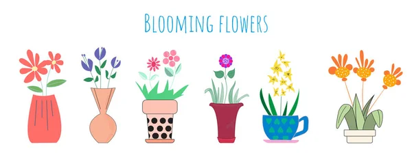 Floraison Fleurs Dans Pot Vase Illustration Vectorielle Plantes Colorées Isolées — Image vectorielle