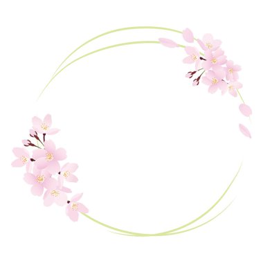 Circular frame illustration of realistic cherry blossoms.