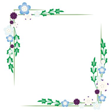 Nemofilyanın kare çerçeveli vektör çizimi.