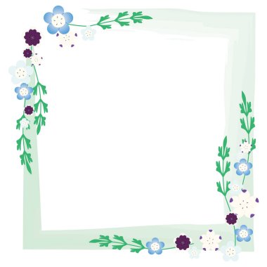 Nemofilyanın kare çerçeveli vektör çizimi.