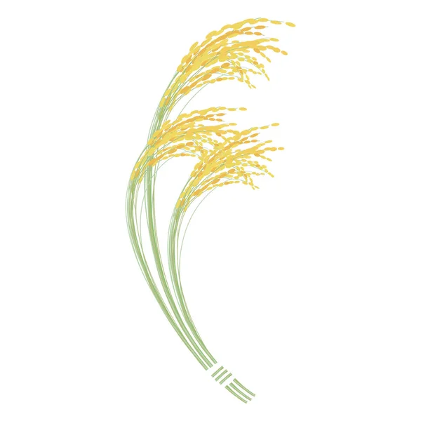 Illustration Eines Runden Rahmens Mit Realistischen Reisohren — Stockvektor