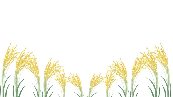 Hintergrund Illustration Von Reisohren Einer Geschwungenen Anordnung — Stockvektor