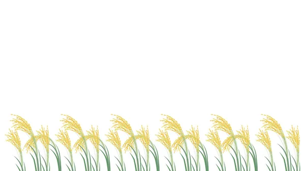 Pirinç Kulaklarının Yan Yana Dizilmiş Arkaplan Çizimi Stok Vektör