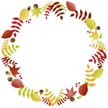 sonbahar yapraklarının, meşe palamutlarının çerçeve çerçeve çizimi.