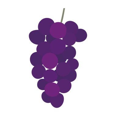 Üzüm tokası sanatı. Görüntü malzemesi, şeffaf bir arka plan..
