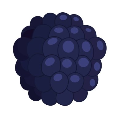 Böğürtlen klipsi. Vektör materyali. Saydam arkaplan üzerine görüntü.