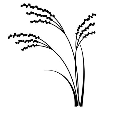 Pirinç kulak silueti parçaları materyal. Japon stili sonbahar tasarım elementleri..