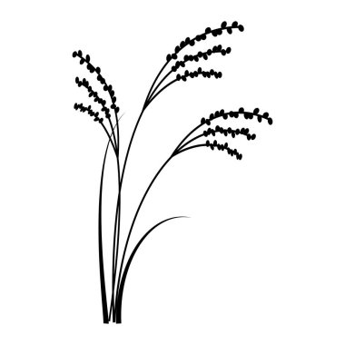 Pirinç kulak silueti parçaları materyal. Japon stili sonbahar tasarım elementleri..