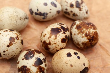 Kahverengi kağıda dizilmiş bıldırcın yumurtaları.