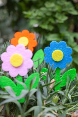 Kadife çiçekleri otla sıralanmış.