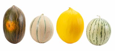 Beyaz arka planda izole edilmiş taze kavun çeşitleri