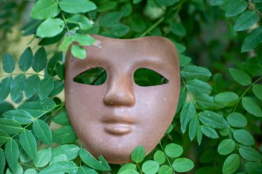 kahverengi karnaval maskesi ağaç yapraklarında saklı.