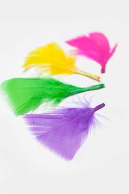 Beyaz arkaplanda izole edilmiş tüyler