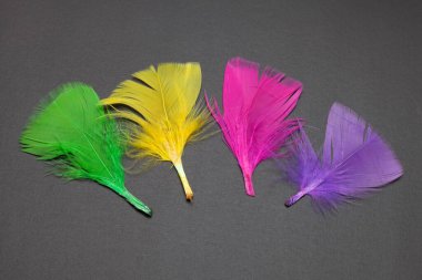 Siyah arkaplanda izole edilmiş renkli tüyler