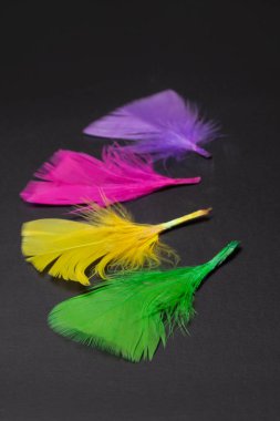 Siyah arkaplanda izole edilmiş renkli tüyler