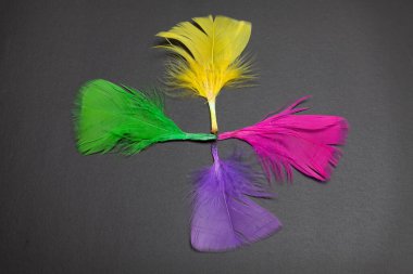 Siyah arkaplanda izole edilmiş renkli tüyler