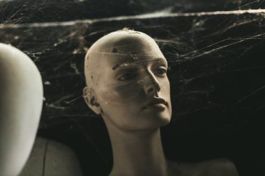 Örümcek ağlı eski manken kafası