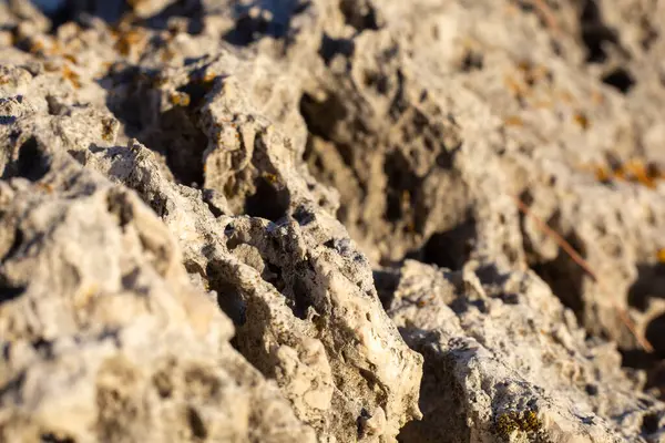 Deniz kıyısındaki keskin kayalar