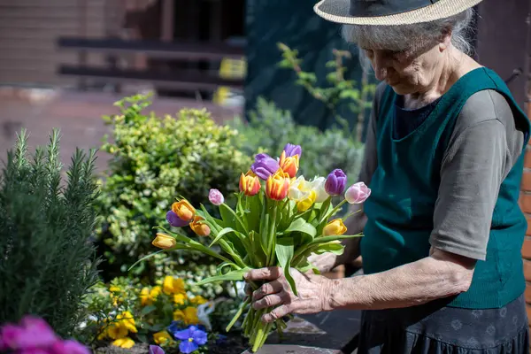 Güneşli bir günde elinde renkli bir buket lale tutan yaşlı bir kadın.